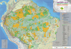 Amazon Watershed