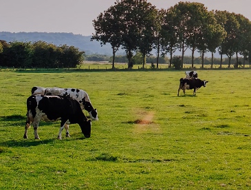 Climate-smart agriculture | Environmental Defense Fund