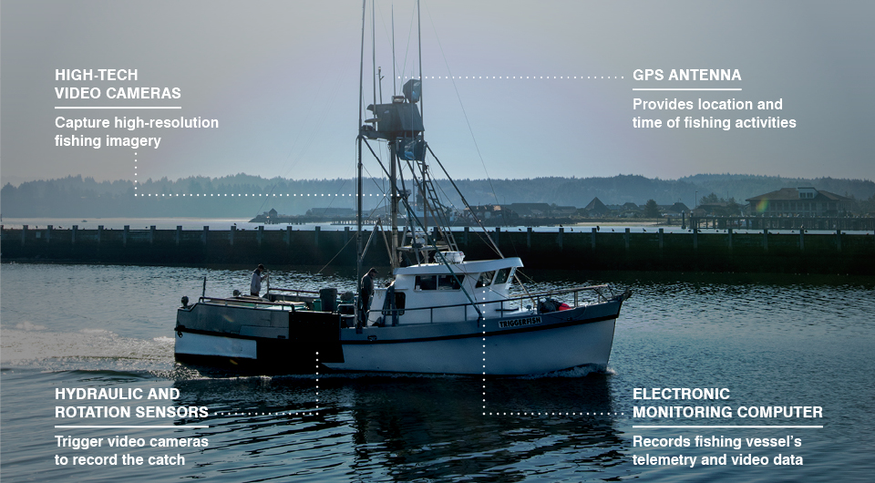 This is the high-tech future of fishing