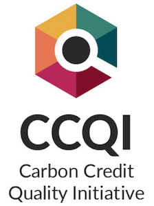 CCQI logo