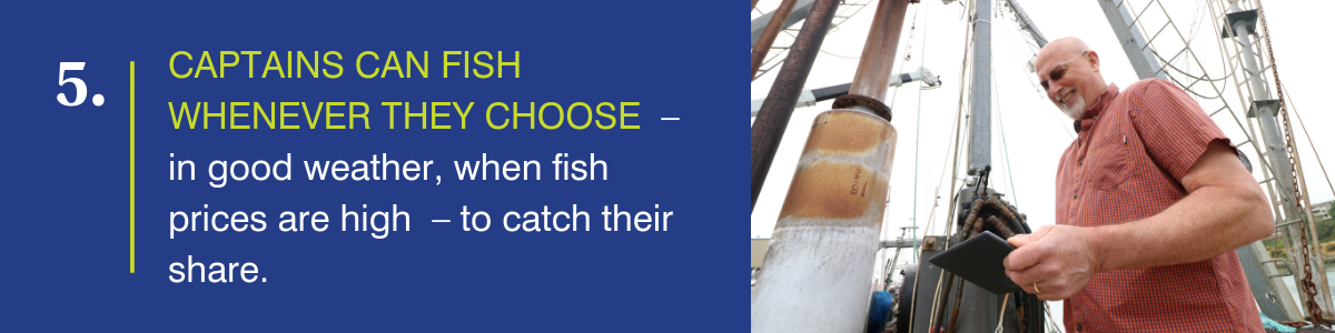 Captains can fish whenever they choose--in good weather, when fish prices are high--to catch their share.