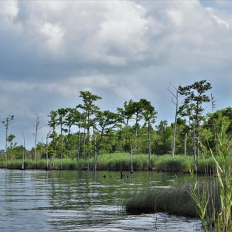 North Carolina Coastal Area