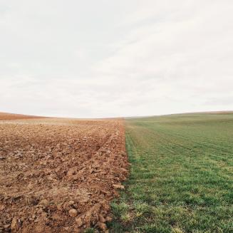 Farm field with bare soil on one side and green on the other