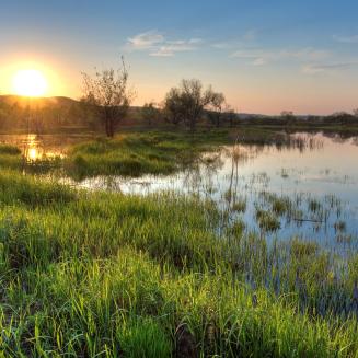 Spring sunset landscape