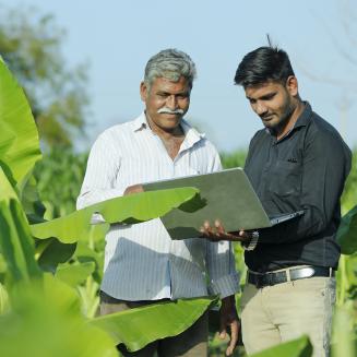 Young Indian farmer with an agronomist at banana field, India.