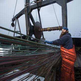 Fisherman on a boat reeling in a net