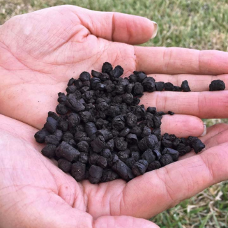 Hands full of biochar material