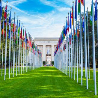 United Nations flags