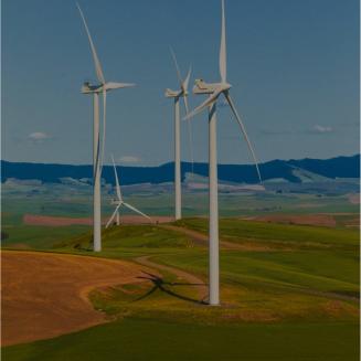 Wind turbines in a field