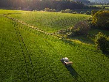 A tractor drives through a large green field