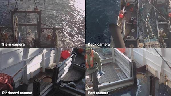 Four camera views of activity on a fishing boat