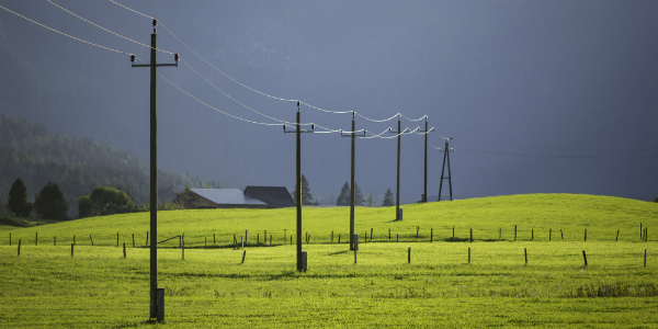 power lines across meadow